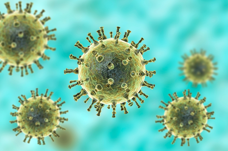 Virus thủy đậu sống bao lâu trong không khí? Hình thức dễ lây nhiễm của bệnh 1