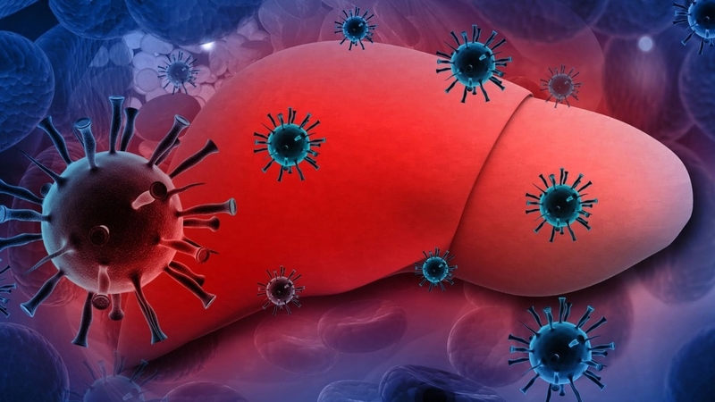 Virus viêm gan A: Đặc điểm, cơ chế lây lan và phòng ngừa 1