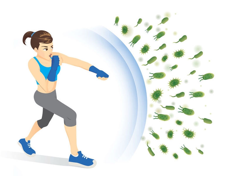 Tất cả những thông tin cần biết về Vitamin A 2