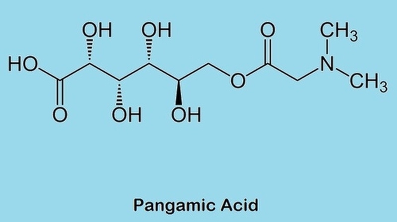 Vitamin B15 có tác dụng gì đối với cơ thể? 4