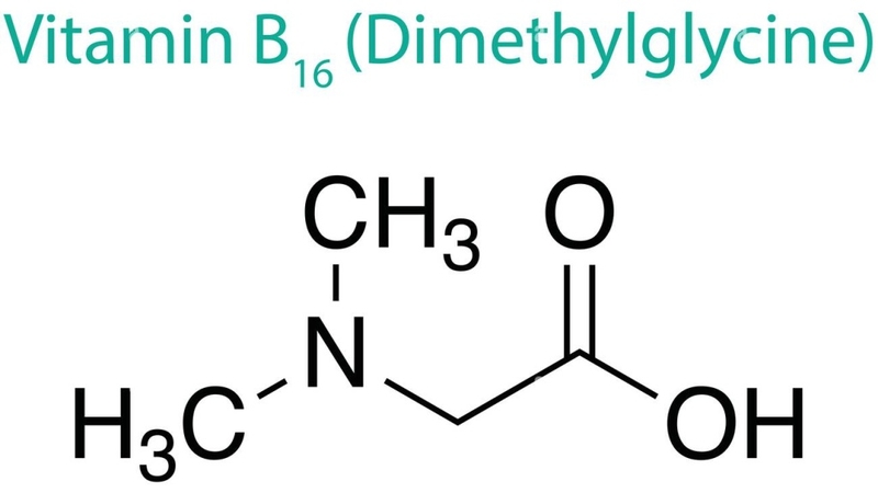 Vitamin B16 và tất tần tật những điều mà bạn cần biết 1