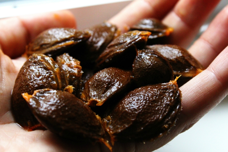 Vitamin B17: Những điều ít người biết về vitamin này 2