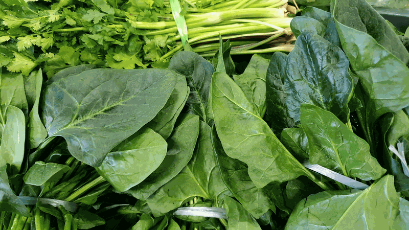 Vitamin B có trong thực phẩm nào? 4