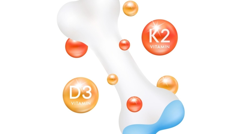 Vitamin d3 và d3k2 khác nhau như thế nào 2