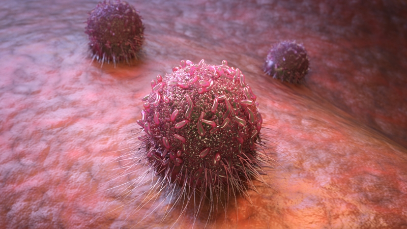 Vitamin K có thực sự giúp xương chắc khỏe? 3