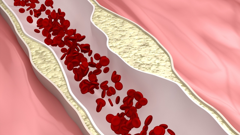 Vitamin K và vai trò của nó trong quá trình đông máu 2