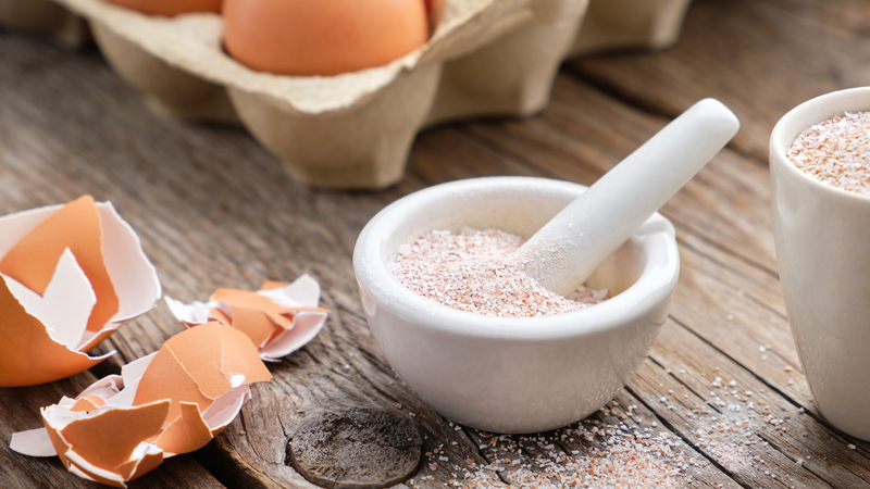 Vỏ trứng gà có tác dụng gì? Vỏ trứng có thể trở thành một nguyên liệu hữu ích nếu biết cách tận dụng