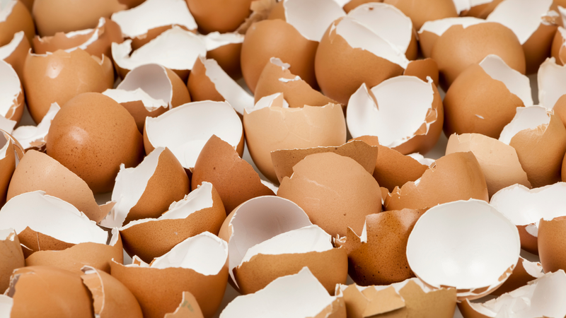 Chỉ sử dụng với lượng vừa phải và đảm bảo vỏ trứng đã được làm sạch