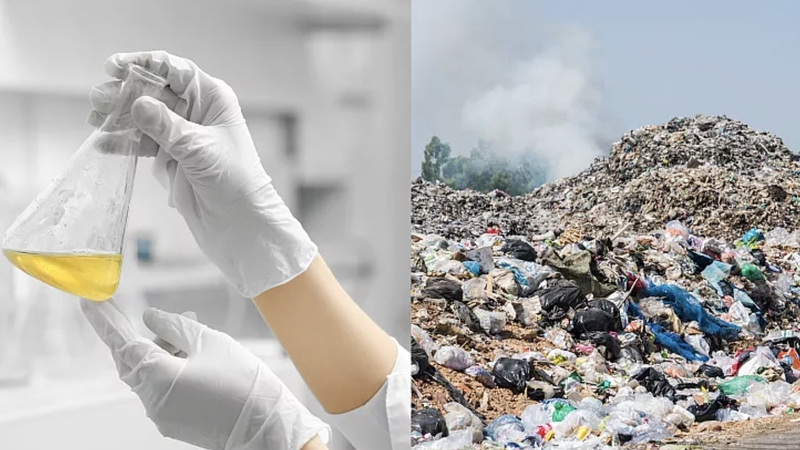 Vôi hóa tinh hoàn 5