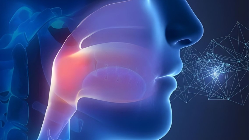 Vòm họng là bộ phận vô cùng quan trọng trong hệ hô hấp và tiêu hóa