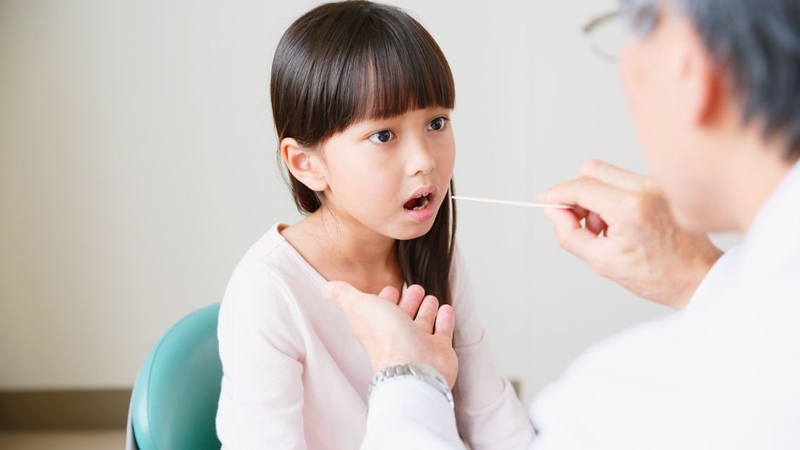 Vòm họng đảm nhận những chức năng quan trọng trong hoạt động sống