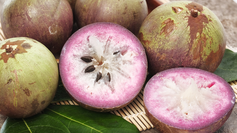 Vú sữa bao nhiêu calo bạn đã biết hay chưa?2