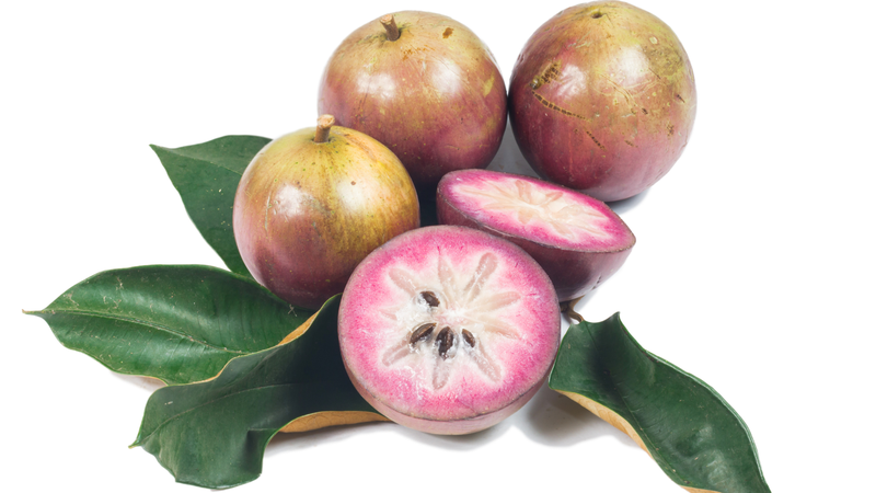 Vú sữa bao nhiêu calo bạn đã biết hay chưa?4