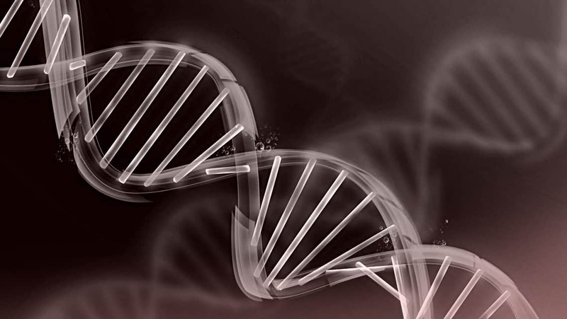 Vùng dưới đồi của não: Vai trò, chức năng và một số rối loạn liên quan 3