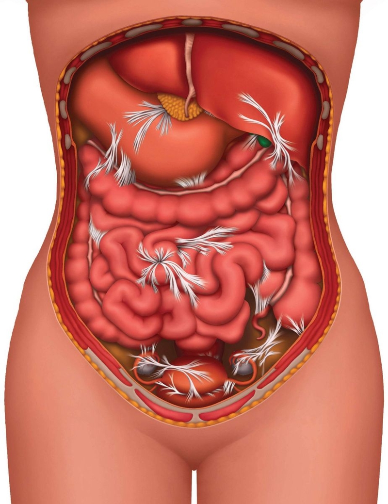 Vùng thượng vị ở đâu và những vấn đề liên quan 2