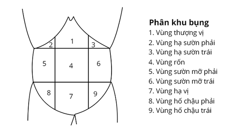 Vùng thượng vị ở đâu và những vấn đề liên quan 3