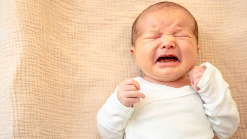 Wake Windows Là Gì? Cách áp dụng Wake Windows hiệu quả cho bé 3