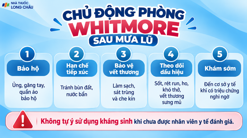 Ủng, găng tay và bảo vệ vết thương giúp hạn chế tiếp xúc với nguồn bệnh