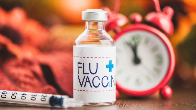 WHO công bố thành phần virus được khuyến nghị cho vắc xin cúm năm 2025 1