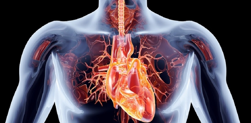 Xạ hình tưới máu cơ tim là gì? Những lưu ý cần biết khi chụp xạ hình tưới máu cơ tim 1