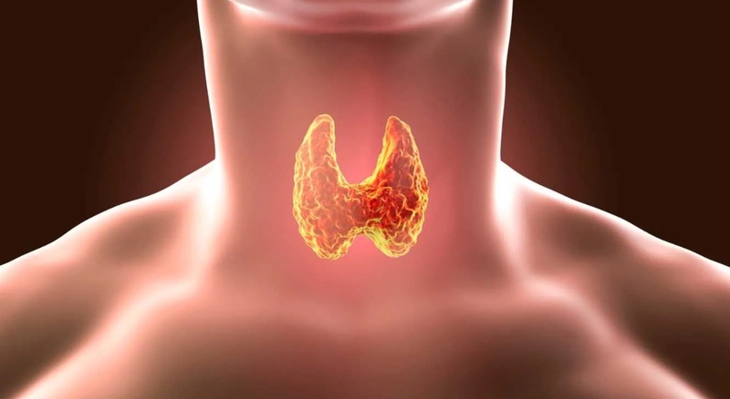 Xạ hình tuyến giáp là gì? Cần lưu ý gì khi xạ hình tuyến giáp? 3