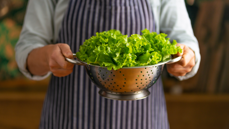 xa-lach-carol-la-gi-loi-ich-suc-khoe-va-cach-che-bien-xa-lach-carol 2