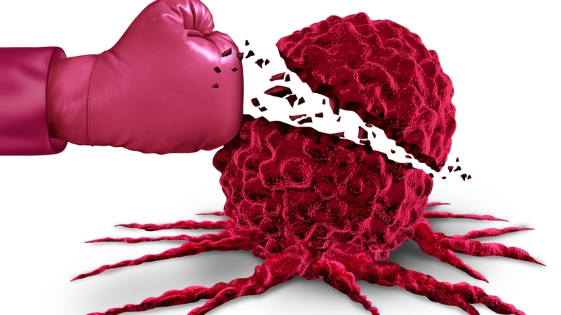 Cây xạ vàng: Loại cây quen thuộc có nhiều tác dụng chữa bệnh 6