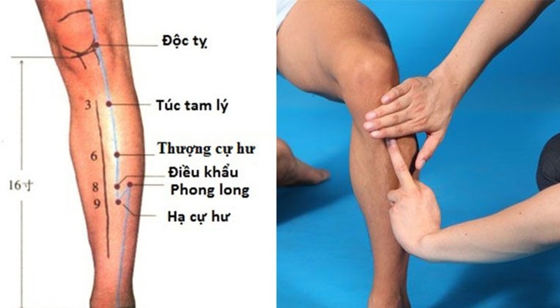 Xác định vị trí huyệt Độc Tỵ như thế nào? Công dụng của huyệt Độc Tỵ 1