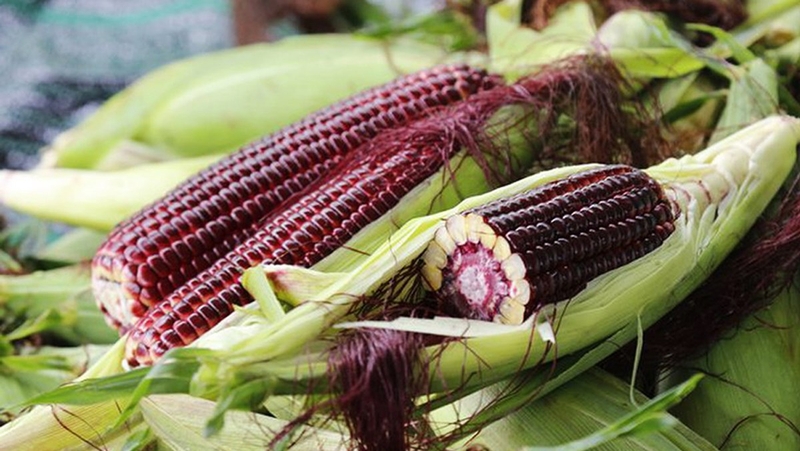 xăm môi ăn bắp được không 1