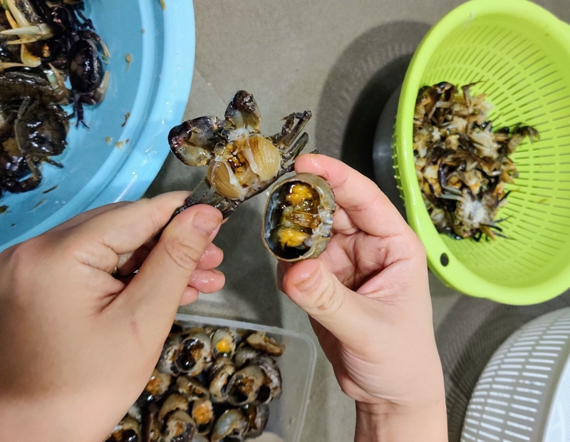 xăm môi ăn cua đồng được không 1