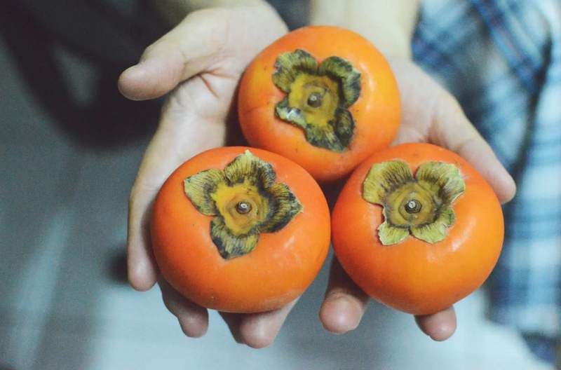 xăm môi ăn hồng được không 4