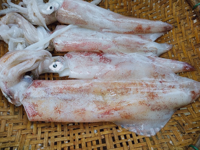 Có nên ăn mực sau khi xăm môi không?