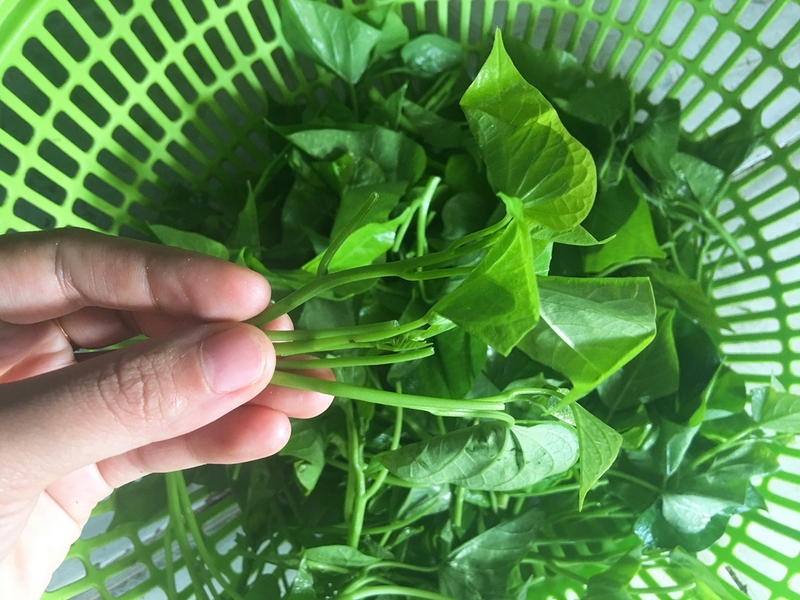 xăm môi ăn rau lang được không 3