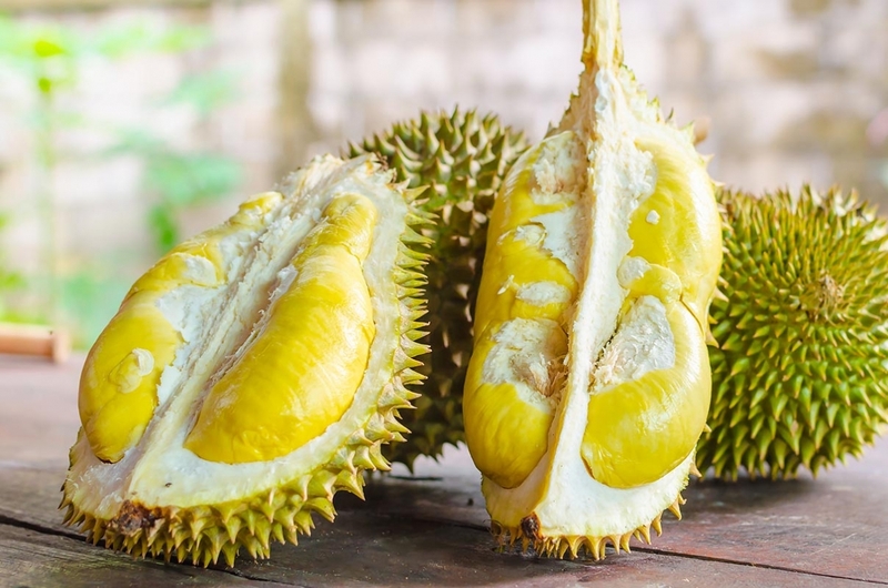 xăm môi ăn sầu riêng được không 4