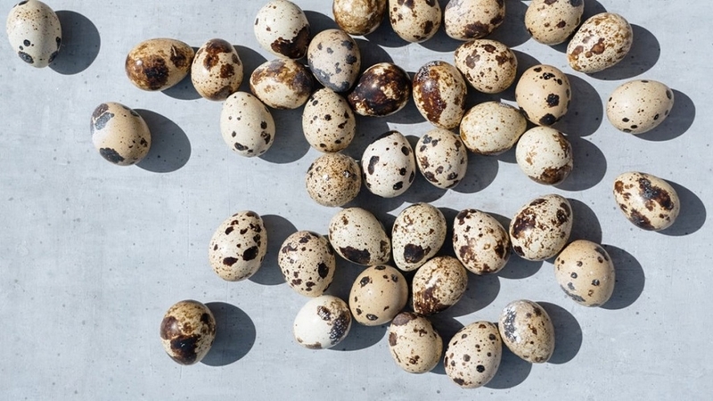 Xăm môi ăn trứng cút lộn được không? [Giải đáp thắc mắc] 2