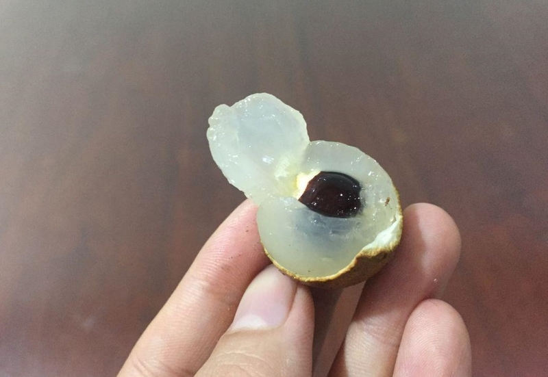 xăm môi có ăn được nhãn không 2