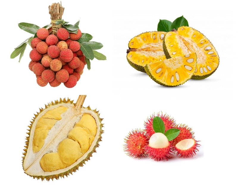 xăm môi có ăn được nhãn không 3