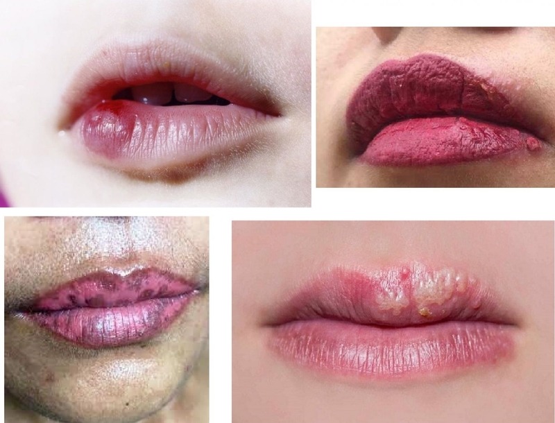 xăm môi có ăn được thịt trâu không 2