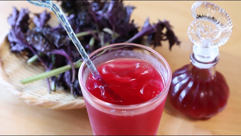 xăm môi uống nước lá tía tô được không 2