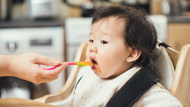 Thực đơn ăn dặm cho bé 6 tháng: gợi ý chuẩn dinh dưỡng giúp bé khỏe mạnh 4