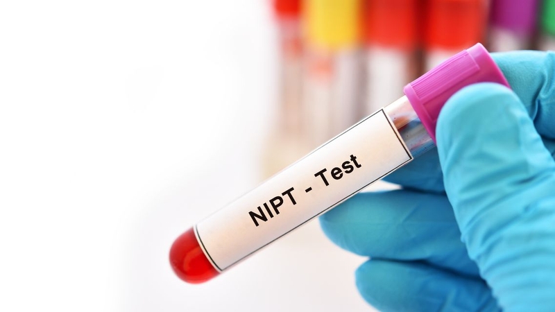 Xét nghiệm NIPT có phát hiện tan máu bẩm sinh không 1