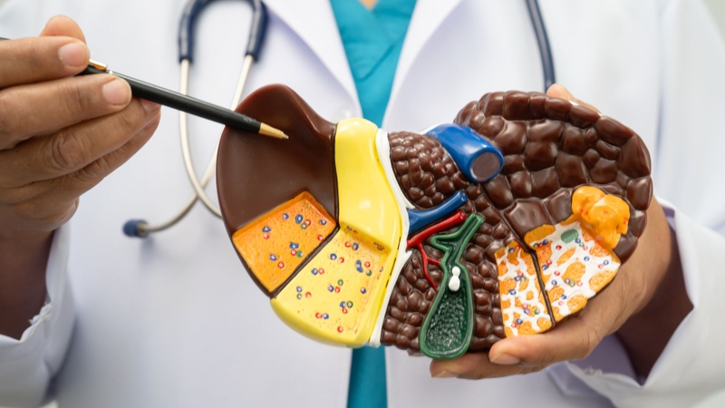 Việc chẩn đoán kịp thời giúp ngăn ngừa diễn tiến xấu thành xơ gan hay suy gan mạn tính