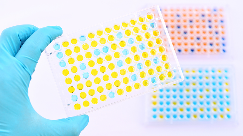 Xét nghiệm amip đường ruột bằng phương pháp ELISA có độ nhạy cao