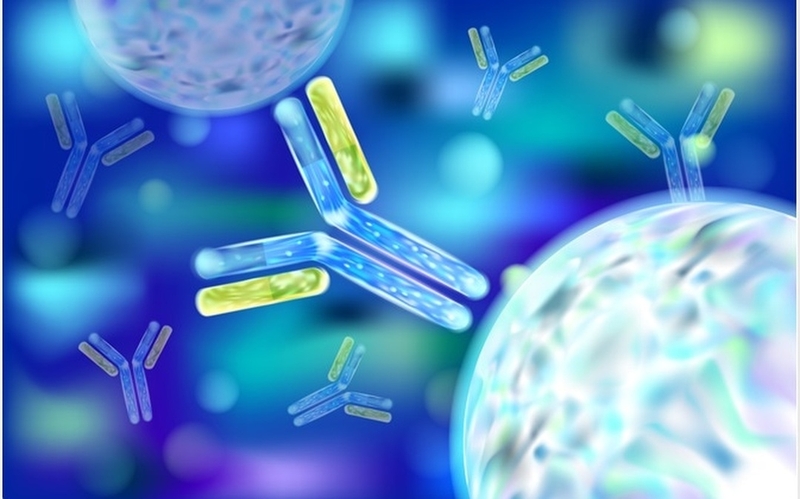 Xét nghiệm ANA là gì? Khi nào cần thực hiện 1