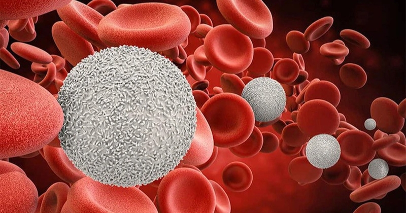 Xét nghiệm bạch cầu trong chẩn đoán bệnh