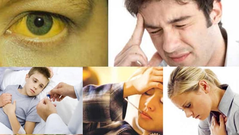 Xét nghiệm Ceruloplasmin: Ý nghĩa và tầm quan trọng trong chẩn đoán bệnh 2