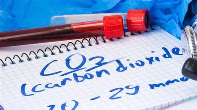 Xét Nghiệm CO2: Đo lường khí Carbon Dioxide trong cơ thể để phát hiện và theo dõi bệnh 1
