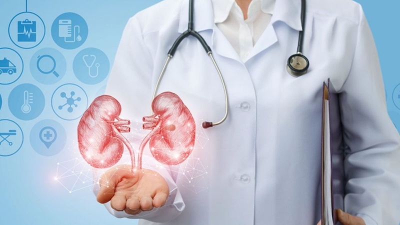 Xét nghiệm Cystatin C có ý nghĩa gì đối với sức khỏe thận? 1