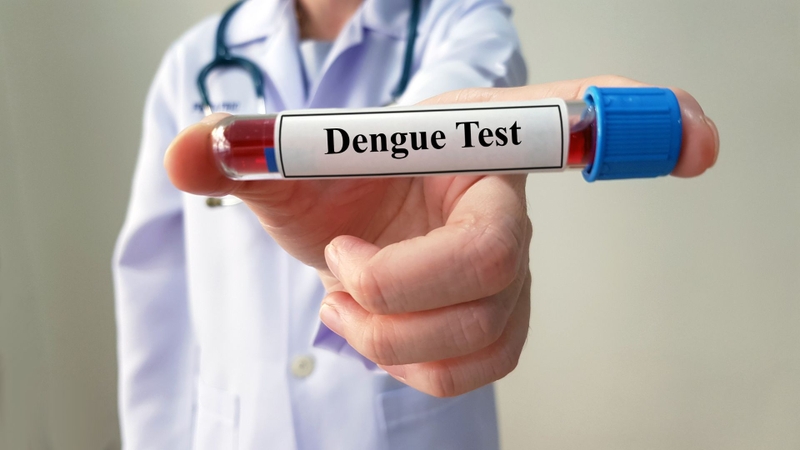 Việc tìm hiểu xét nghiệm Dengue NS1Ag ở đâu uy tín sẽ giúp bạn nhanh chóng chẩn đoán chính xác