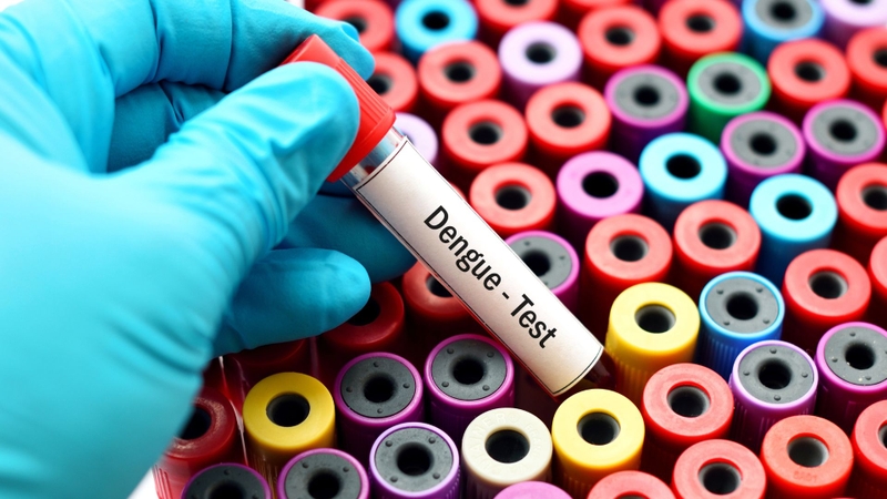 Phát hiện sớm virus Dengue thông qua kháng nguyên NS1 đóng vai trò quyết định trong hiệu quả điều trị